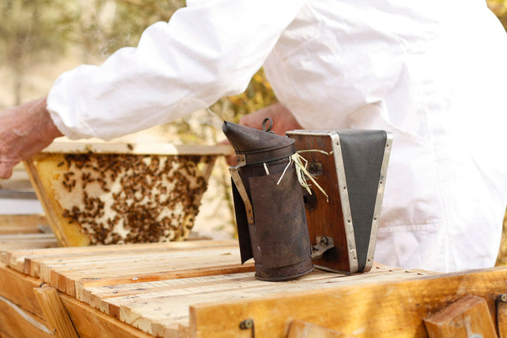 A Day in the Life of an Australian Beekeeper