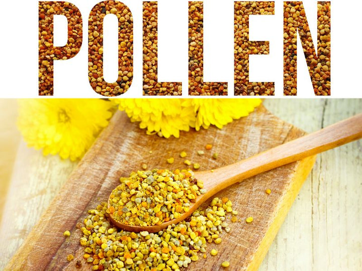 Pollen – the Natural, Protein-Rich Superfood
