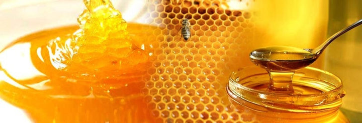 Raw Honey vs Regular Honey… is there Really a Difference?