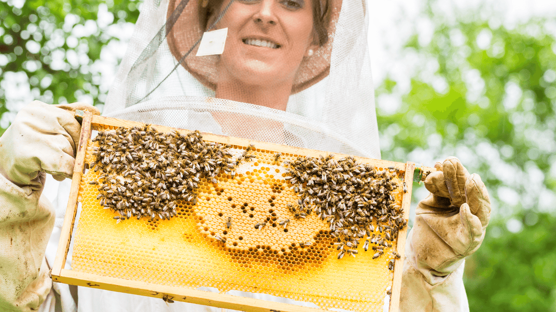 Can You Be an Urban Beekeeper?