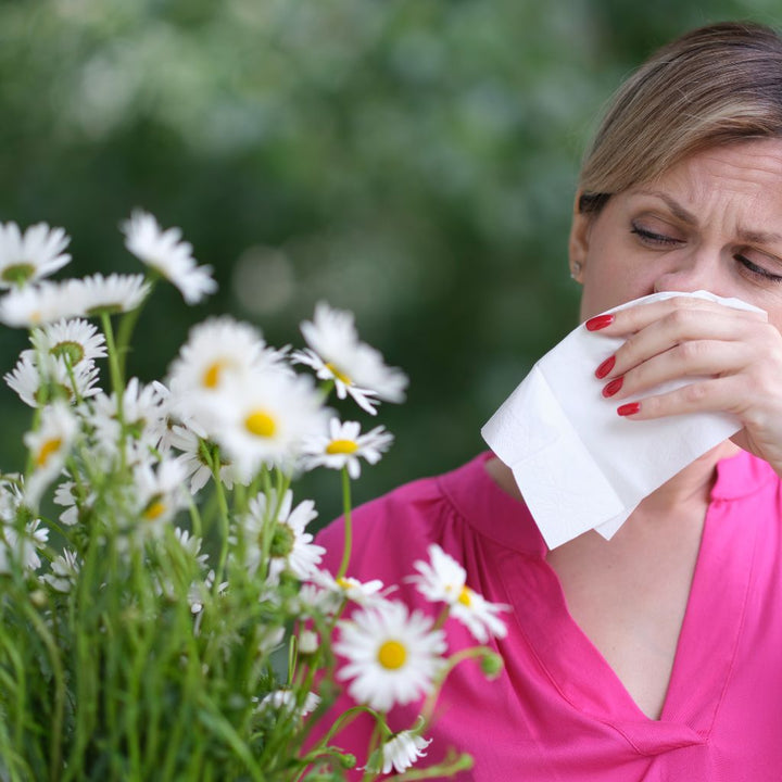 Does Honey Help with Seasonal Allergies like Hay Fever?