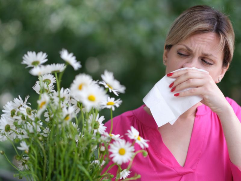 Does Honey Help with Seasonal Allergies like Hay Fever?