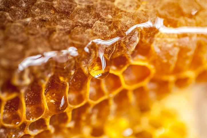 The Origins of Medicinal Honey Use