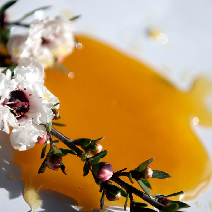 What is Australian Manuka Honey?