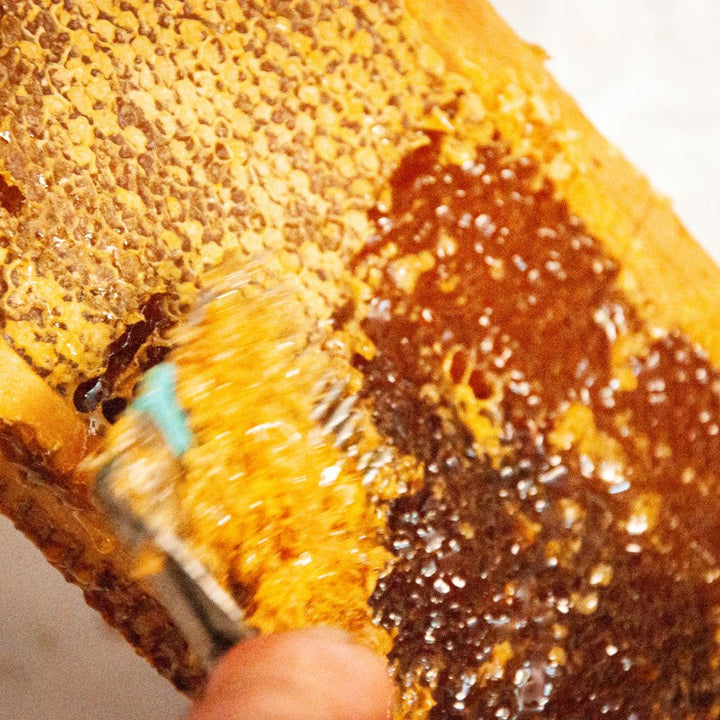 Raw Honey vs Regular Honey - is there Really a Difference?