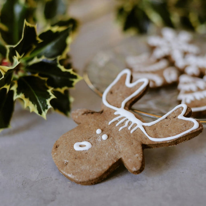 Christmas Reindeer Honey Cookies Recipe