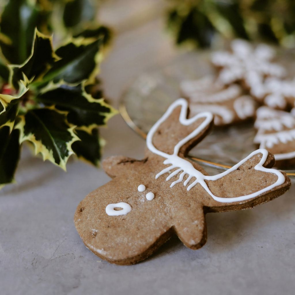 Christmas Reindeer Honey Cookies Recipe