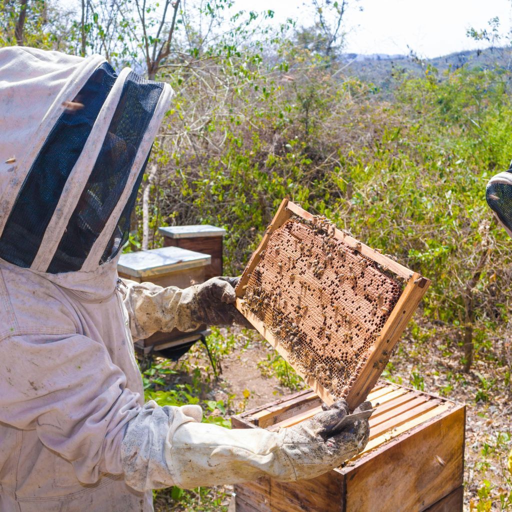 The Importance of a Single Cell Inside a Hive