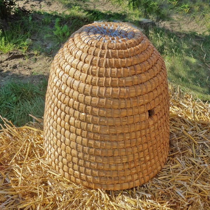 The Origins of Medicinal Honey Use