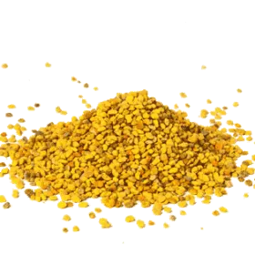 Australian Bee Pollen grains