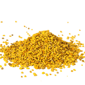 Australian Pollen grains