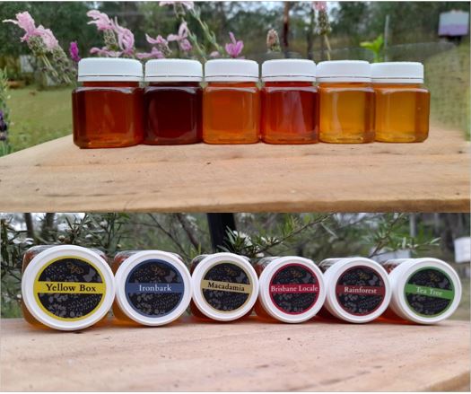 Simply Honey Taster Pack
