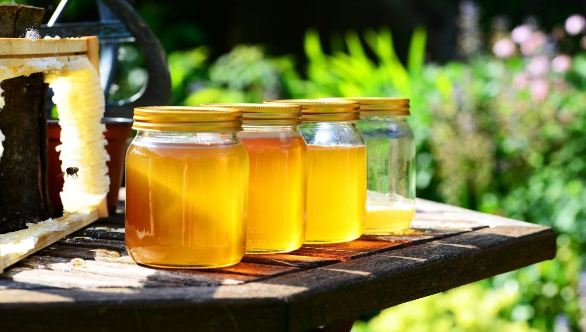 the difference between raw honey vs regular honey