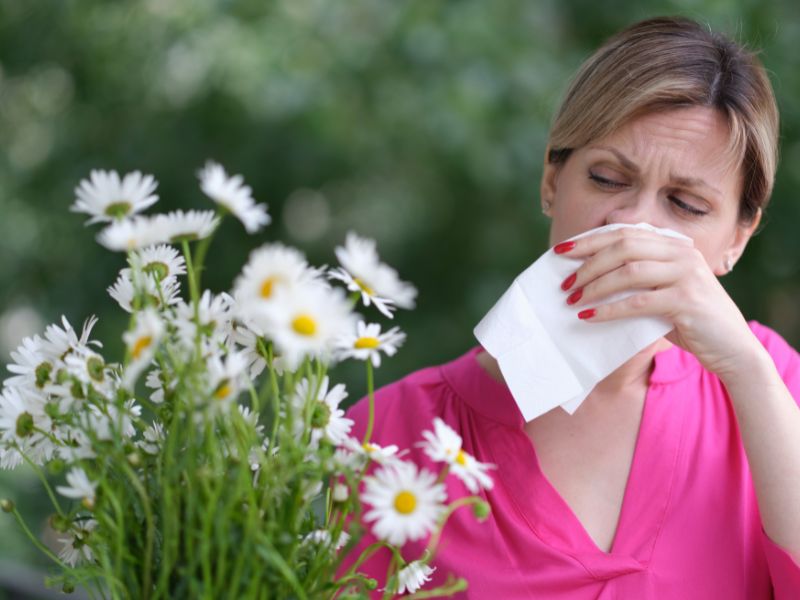 Honey helping hayfever