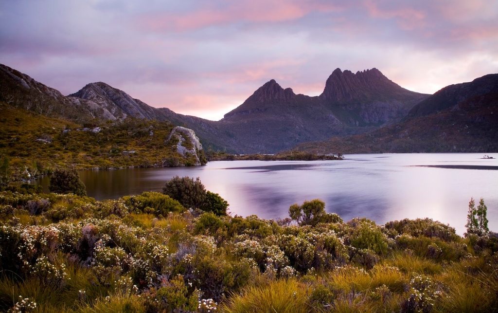 Tasmania's pristine Cradle Mountain - home of Leatherwood honey